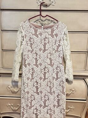 Adrianna Papell Ivory Lace Sheath Dress with Blush Lining size 14